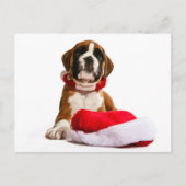 funny Christmas dog Boxer puppy Feestdagenkaart (Voorkant)