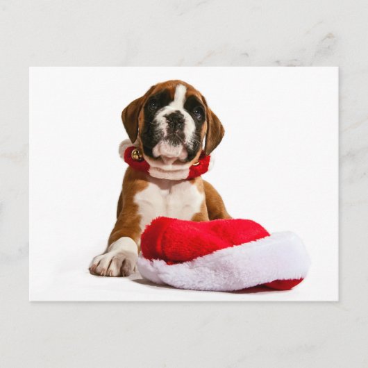 funny Christmas dog Boxer puppy Feestdagenkaart (Voorkant)