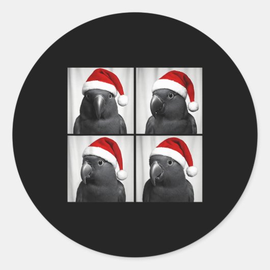 Funny Christmas Eclectus Parrot Santa Photo Booth  Ronde Sticker (Voorkant)