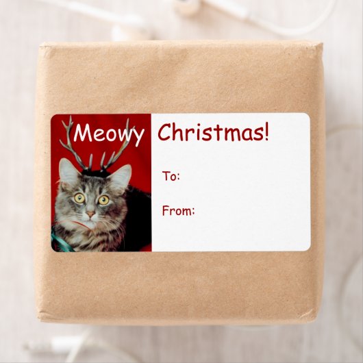 Funny Christmas Gift Label Labels (Insitu)