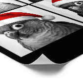 Funny Christmas Green Cheek Conure Santa Photo Boo Poster (Hoek)