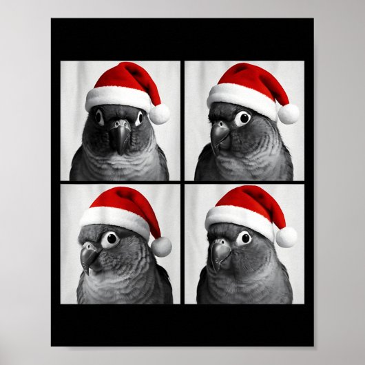 Funny Christmas Green Cheek Conure Santa Photo Boo Poster (Voorkant)