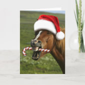 Funny Christmas horse with Santa hat smiling Kaart (Voorkant)