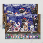 Funny Christmas Kaart met Happy Boerderij Animal P (Voorkant / Achterkant)