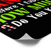 Funny Christmas Kids Boys Girls Dear Santa I Can E Poster (Hoek)