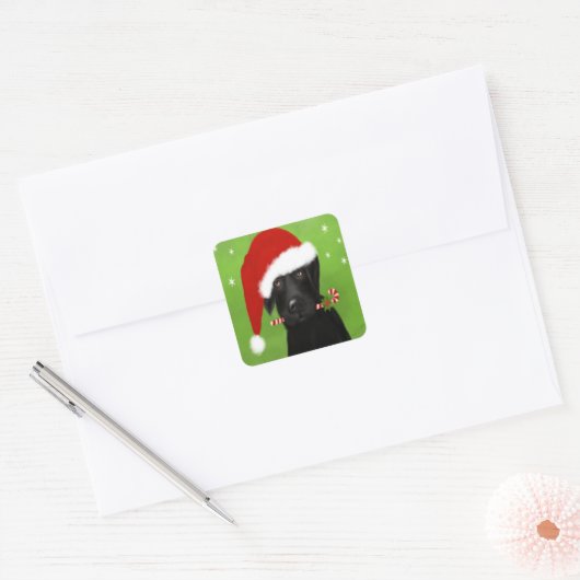 Funny Christmas Labrador, Sticker (Envelop)