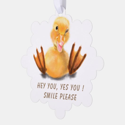 Funny Christmas Ornament Kaart Happy Duck - Smile (Links)