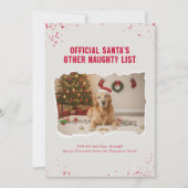 Funny Christmas Picture With Cute Dogs Feestdagenkaart (Voorkant)