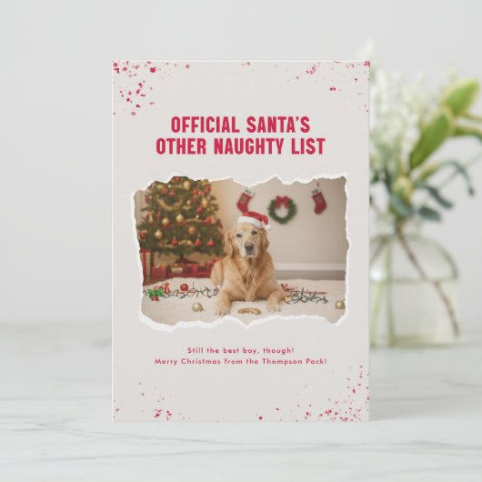 Funny Christmas Picture With Cute Dogs Feestdagenkaart (Staand voorkant)