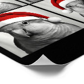 Funny Christmas Quaker Parrot Santa Photo Booth Poster (Hoek)