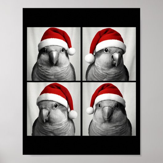 Funny Christmas Quaker Parrot Santa Photo Booth Poster (Voorkant)