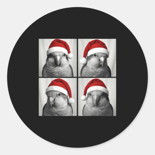Funny Christmas Quaker Parrot Santa Photo Booth Ronde Sticker (Voorkant)