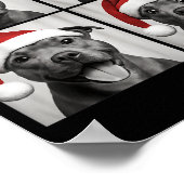 Funny Christmas Staffordshire Bull Terrier Santa P Poster (Hoek)