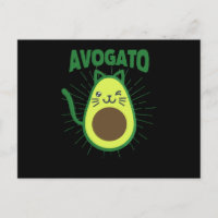 Funny Cinco De Mayo katt Mexicaanse gemiddelde kat