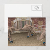 Funny Circus Elephants Briefkaart (Voorkant / Achterkant)