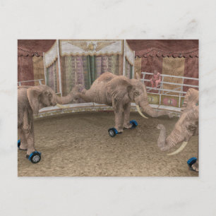 Funny Circus Elephants Briefkaart