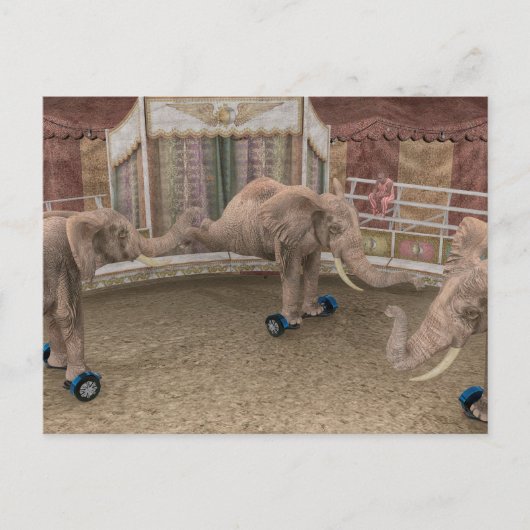 Funny Circus Elephants Briefkaart (Voorkant)