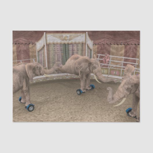 Funny Circus Elephants Tissuepapier (Voorkant)