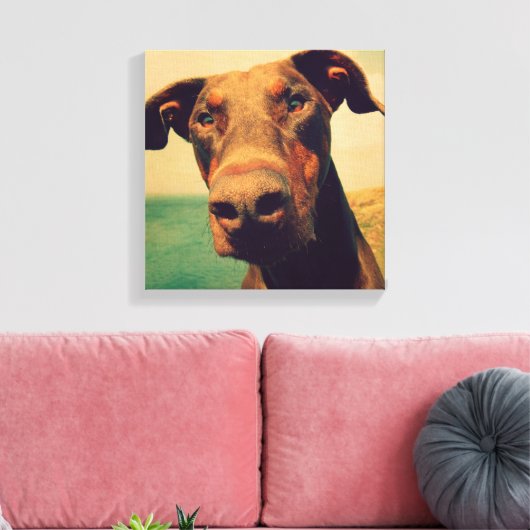 Funny Closeup of a Natural Doberman Dog Canvas Afdruk (Insitu (Woonkamer))