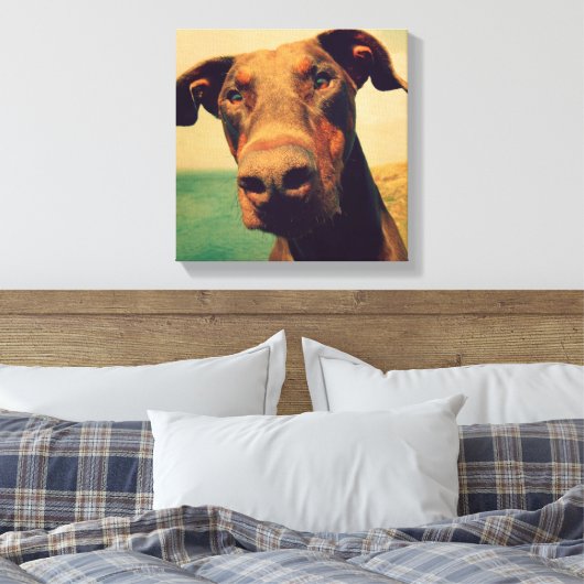 Funny Closeup of a Natural Doberman Dog Canvas Afdruk (Insitu (Slaapkamer))