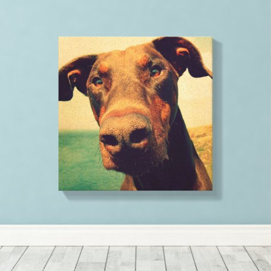 Funny Closeup of a Natural Doberman Dog Canvas Afdruk (Insitu (Houten vloer))
