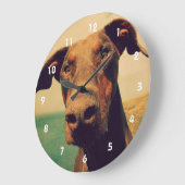 Funny Closeup of a Natural Doberman Dog Grote Klok (Hoek)