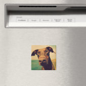 Funny Closeup of a Natural Doberman Dog Magneet (Insitu (Vaatwasser))