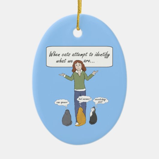 Funny Clueless Katten Ornament (Voorkant)