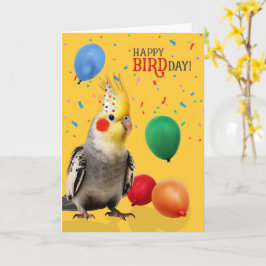 Funny Cockatiel Parrot Birthday Humor Kaart