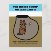 Funny Coin Toss Groundhog Day Briefkaart (Voorkant)