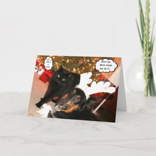 Funny Collie & Black Cat Christmas Kaart (Voorkant)