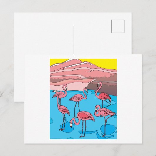 Funny Colorful Flamingos Free Natuur Briefkaart (Voorkant / Achterkant)
