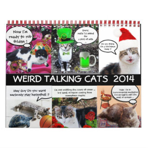 FUNNY COMIC STRIPS VAN WEIRD TALKING CATS 2014 KALENDER