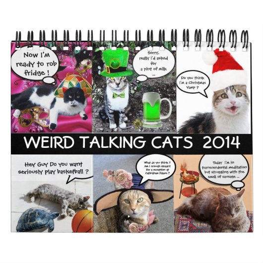 FUNNY COMIC STRIPS VAN WEIRD TALKING CATS 2014 KALENDER (Hoes)