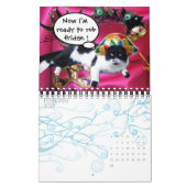 FUNNY COMIC STRIPS VAN WEIRD TALKING CATS 2014 KALENDER (Feb 2027)