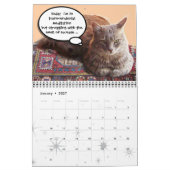 FUNNY COMIC STRIPS VAN WEIRD TALKING CATS 2014 KALENDER (Jan 2027)