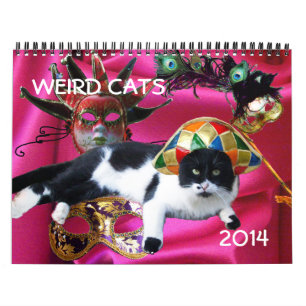FUNNY COMIC STRIPS VAN WEIRD TALKING CATS 2014 KALENDER