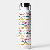 Funny Cool Dinosaur Pattern gepersonaliseerd Waterfles (Voorkant)