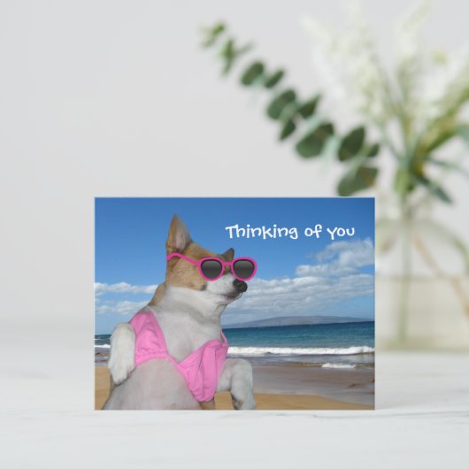 Funny Corgi Bikini Briefkaart (Staand voorkant)