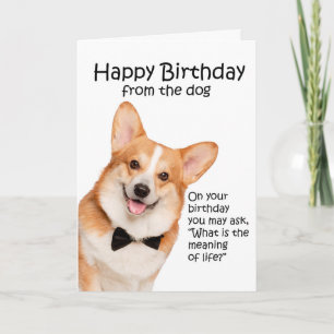 Funny Corgi Birthday Card Bedankkaart