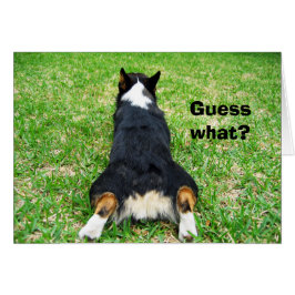 Funny Corgi Butt raad eens welke Humor kaart
