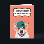 Funny corgi dog to father moeder fine wine humor kaart<br><div class="desc">Een leuk en opvallend ontwerp van een Pembroke Welsh Corgi-hond met een blauwgroen blauw pet met een stijl, geplaatst tegen een achtergrondkleur van uw keuze die een spleetspraatje met de woorden heeft, een fijne verjaardag met een mooi specimen! De binnenkant leest, mag je blijven rijpen als een mooie wijn! Ideaal...</div>