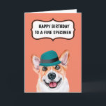 Funny corgi dog to father moeder fine wine humor kaart<br><div class="desc">Een leuk en opvallend ontwerp van een Pembroke Welsh Corgi-hond met een blauwgroen blauw pet met een stijl, geplaatst tegen een achtergrondkleur van uw keuze die een spleetspraatje met de woorden heeft, een fijne verjaardag met een mooi specimen! De binnenkant leest, mag je blijven rijpen als een mooie wijn! Ideaal...</div>