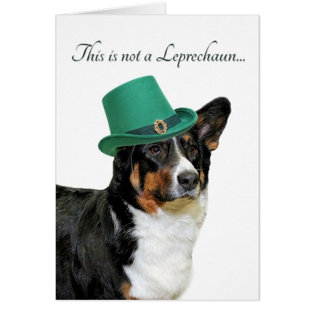 Funny Corgi Leprechaun Kaart (Voorkant)