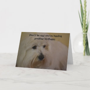 Funny Coton Doggie Years Birthday Card Kaart