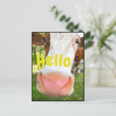 Funny Cow Hallo Briefkaart (Staand voorkant)