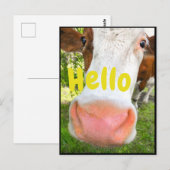 Funny Cow Hallo Briefkaart (Voorkant / Achterkant)
