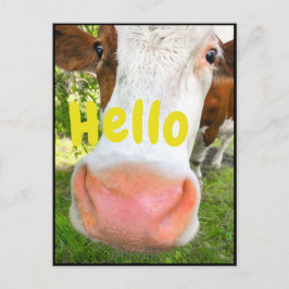 Funny Cow Hallo Briefkaart