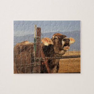Funny Cow Legpuzzel