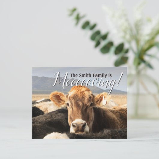 Funny Cow Moving Aankondigingskaart (Staand voorkant)